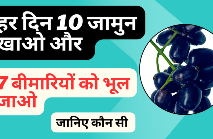 जामुन स्वास्थ्य लाभ – जानिए कैसे यह सुपरफ्रूट बदल सकता है आपकी सेहत